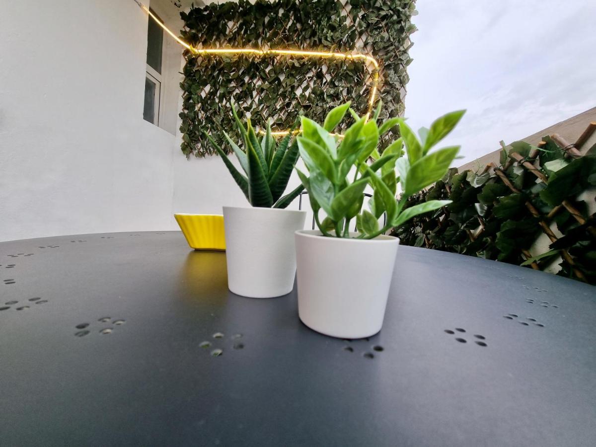 Apartamento Daniel Saragozza Esterno foto