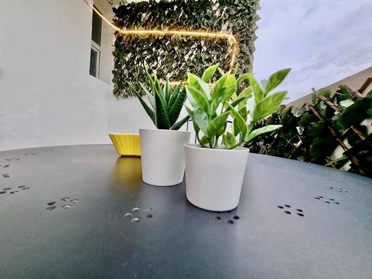 Apartamento Daniel Saragozza Esterno foto